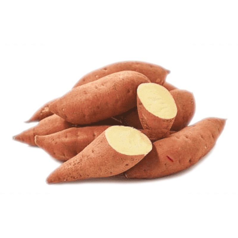 PATATE DOUCE 1,5KG
