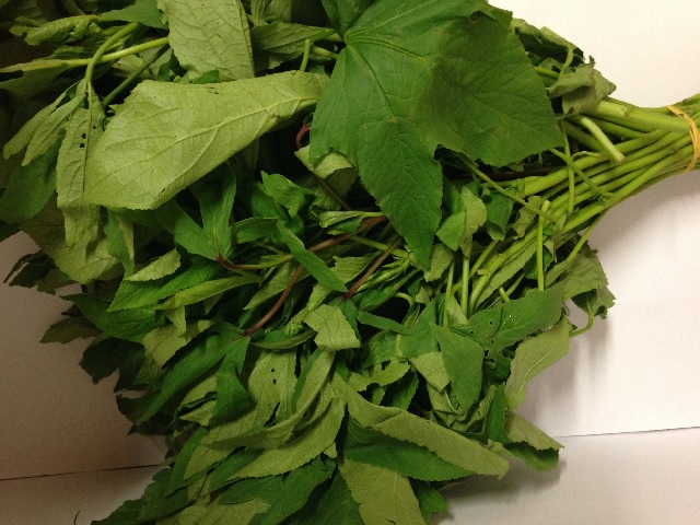 Feuille-Bissap
