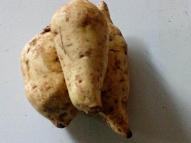 Patate-douce